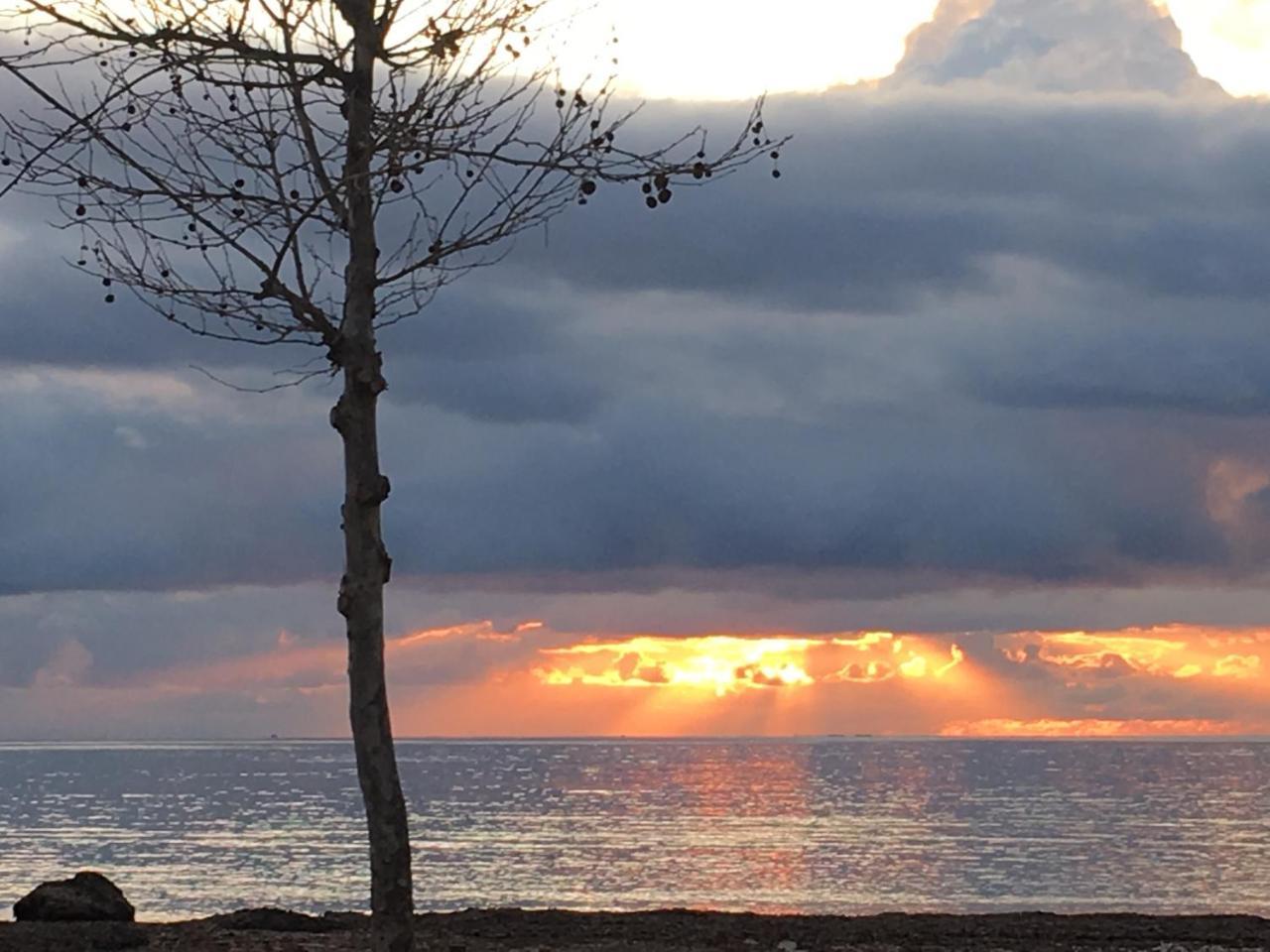 Il Mare Di Alida Lägenhet Alghero Exteriör bild